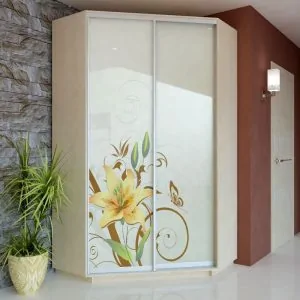 Шафа кутова (1100+1100 ) х 450 х 2400 в Києві